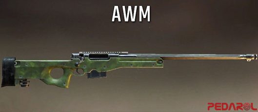 اسلحه AWM - معرفی اسلحه