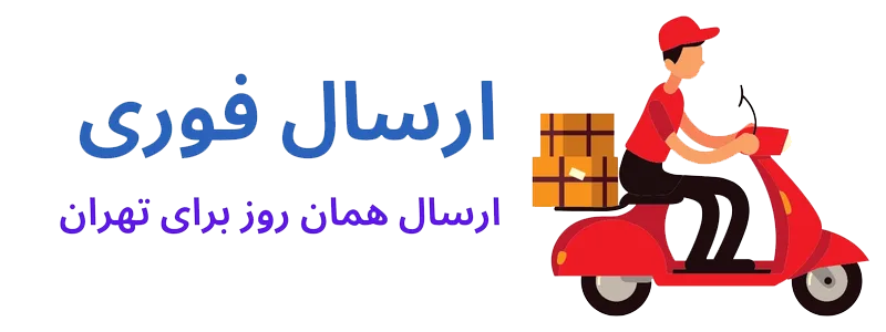 ارسال فوری